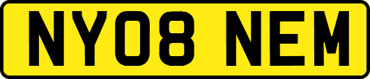 NY08NEM