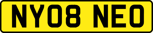 NY08NEO