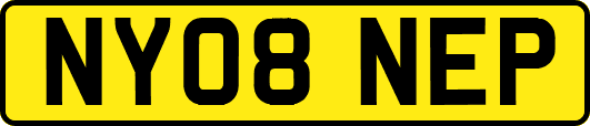 NY08NEP