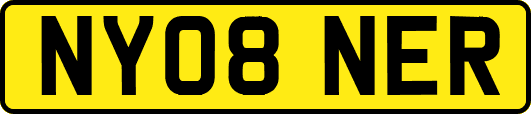NY08NER