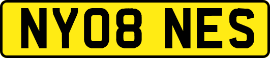 NY08NES