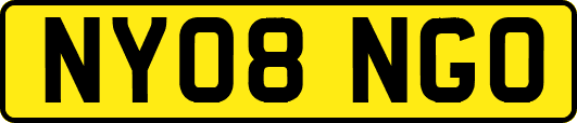 NY08NGO