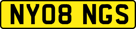 NY08NGS