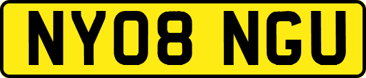 NY08NGU