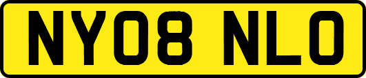 NY08NLO