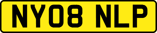 NY08NLP