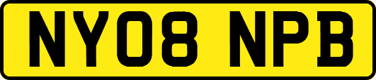 NY08NPB