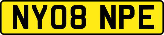 NY08NPE