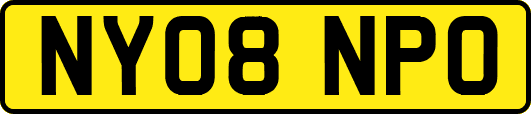 NY08NPO