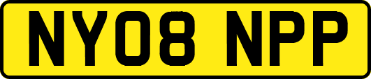NY08NPP