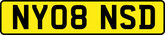 NY08NSD