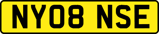 NY08NSE