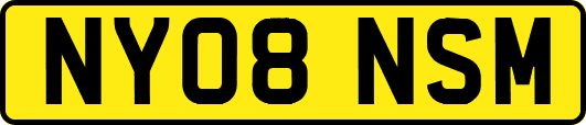 NY08NSM
