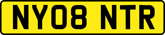 NY08NTR