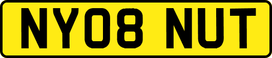 NY08NUT