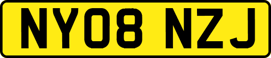 NY08NZJ