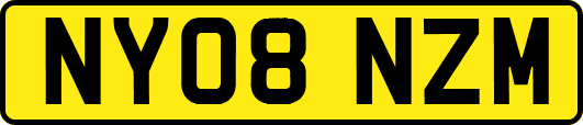 NY08NZM