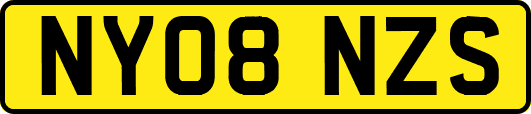NY08NZS