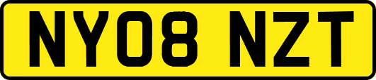 NY08NZT