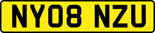 NY08NZU