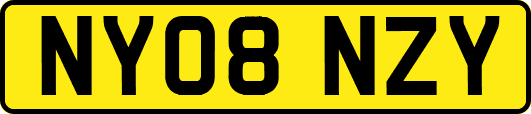 NY08NZY