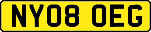 NY08OEG