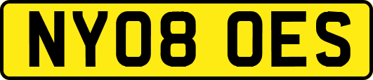 NY08OES