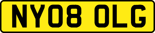NY08OLG
