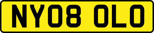 NY08OLO