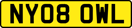 NY08OWL