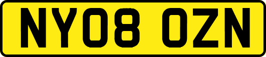 NY08OZN
