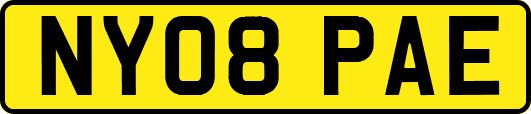 NY08PAE