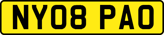NY08PAO