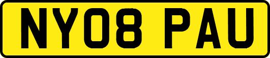 NY08PAU