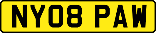 NY08PAW