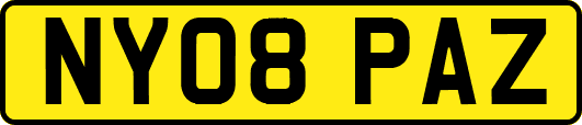 NY08PAZ