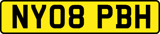 NY08PBH