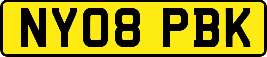 NY08PBK