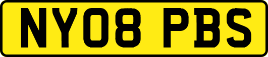 NY08PBS