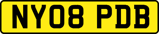 NY08PDB