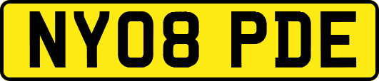 NY08PDE