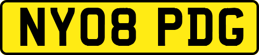 NY08PDG
