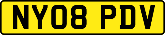 NY08PDV