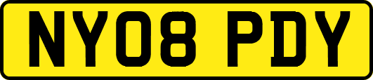 NY08PDY