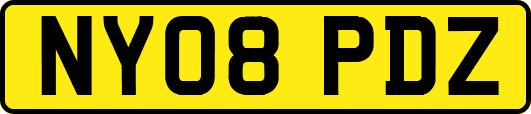 NY08PDZ