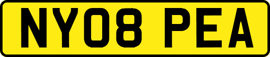 NY08PEA