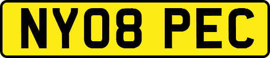 NY08PEC