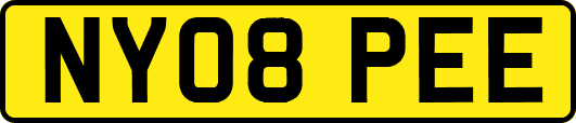 NY08PEE