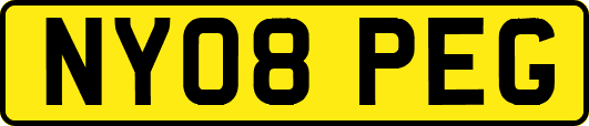NY08PEG