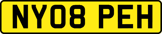 NY08PEH